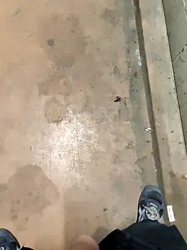 TAMI61 online show from 02-04-26, 07:53