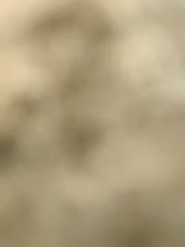 Snapshot of Pagelboy_089 chatting on 02-15-26, 09:30 Pagelboy 089 online show from 02-15-26, 09:30