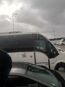 Paulopess online show from 01-16-26, 03:49