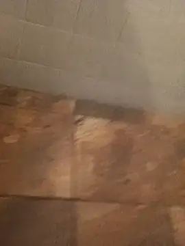 Paperdonny online show from 01-06-26, 09:35