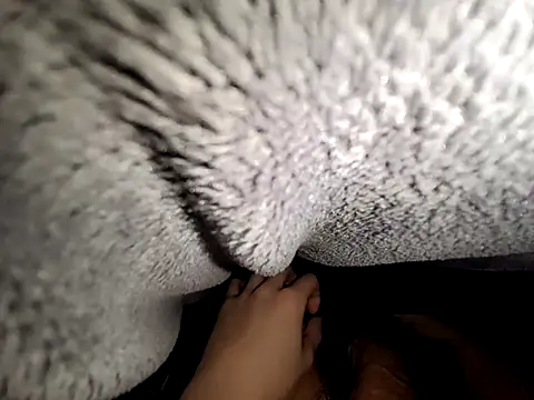 pelseae3721 online show from 02-12-26, 02:01