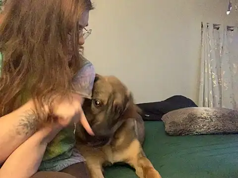 Intothewoodswego online show from 02-22-26, 01:29