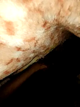 rohit16770 online show from 01-18-26, 07:06