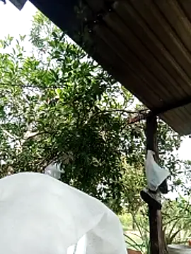 -Nicole-e online show from 02-10-26, 07:12