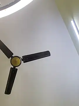 trinasa online show from 01-10-26, 06:31