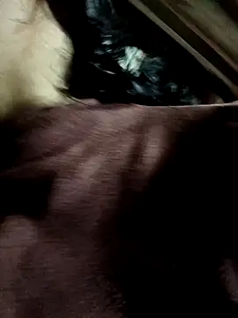 Snapshot of yu--yo chatting on 03-21-26, 03:44 yu--yo online show from 03-21-26, 03:44