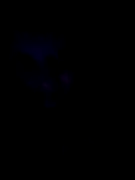 Sonja200 online show from 01-08-26, 12:13