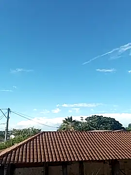 --------bucetuda------- online show from 01-08-26, 08:00