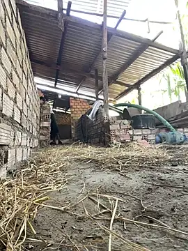 Ginny 2x online show from 02-20-26, 03:36