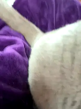 cdfemnaty online show from 01-09-26, 10:07