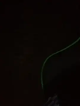 leox98xx online show from 01-10-26, 09:33