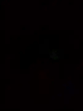 Asias Beardman online show from 01-11-26, 02:44