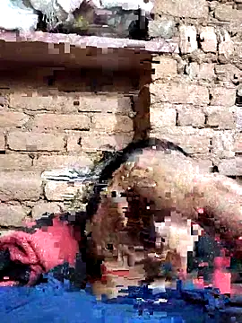 Hot di97 online show from 02-14-26, 08:38