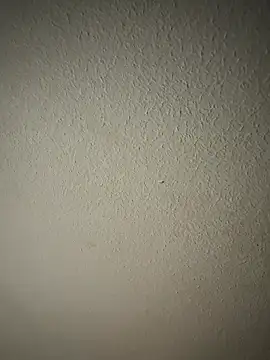 zumma00 online show from 01-17-26, 11:37