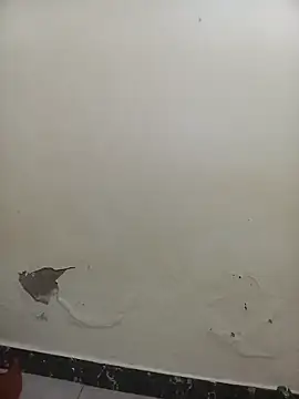 Snapshot of PatriciaVen chatting on 02-07-26, 05:44 PatriciaVen online show from 02-07-26, 05:44