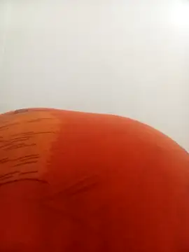 Snapshot of PatriciaVen chatting on 02-09-26, 04:16 PatriciaVen online show from 02-09-26, 04:16