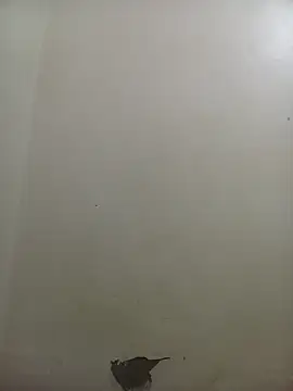 Snapshot of PatriciaVen chatting on 02-10-26, 04:05 PatriciaVen online show from 02-10-26, 04:05