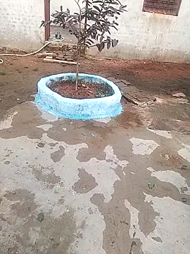 Snapshot of CUTE_khusabi chatting on 01-18-26, 06:28 CUTE khusabi online show from 01-18-26, 06:28