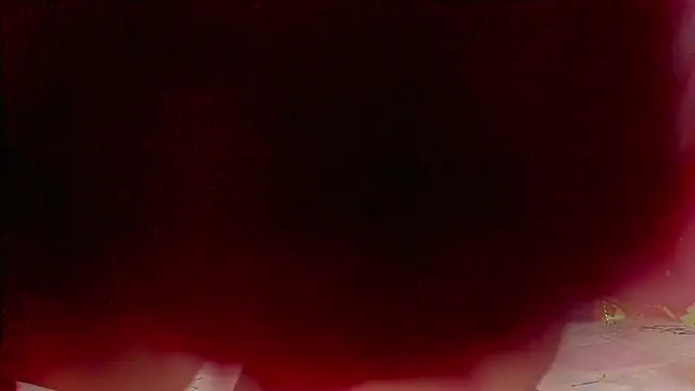 sweet  luna   online show from 02-21-26, 11:00