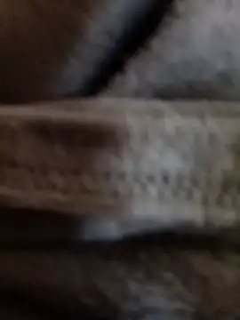 Snapshot of Daisy91 chatting on 01-14-26, 03:06 Daisy91 online show from 01-14-26, 03:06