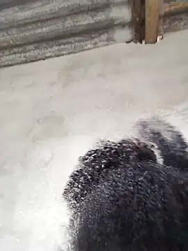 vaniyna online show from 02-22-26, 10:58