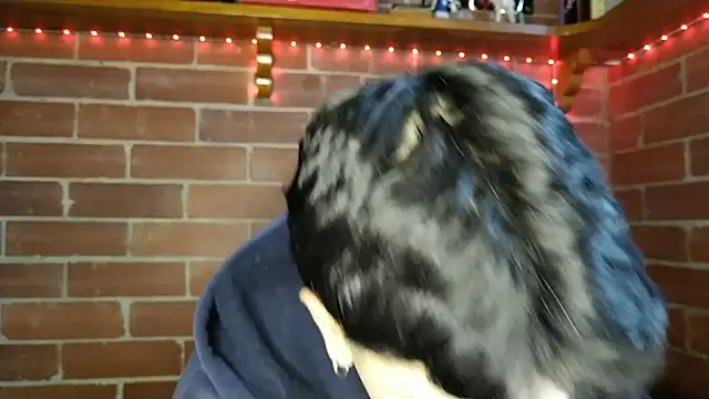 Snapshot of PaulDamico chatting on 02-02-26, 12:15 PaulDamico online show from 02-02-26, 12:15