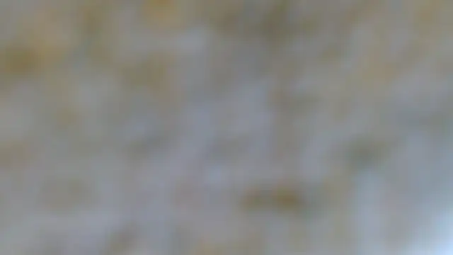 Snapshot of EVAN_TAY chatting on 02-07-26, 07:17 EVAN TAY online show from 02-07-26, 07:17