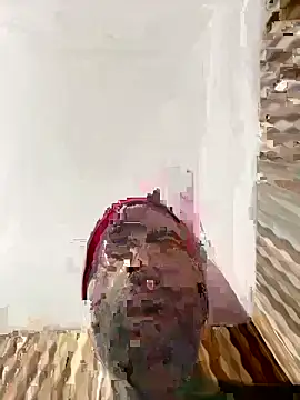 hardlysuck online show from 02-04-26, 02:39