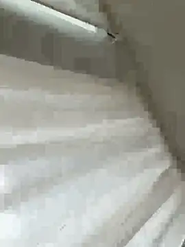 Snapshot of Sara0202 chatting on 02-18-26, 12:01 Sara0202 online show from 02-18-26, 12:01