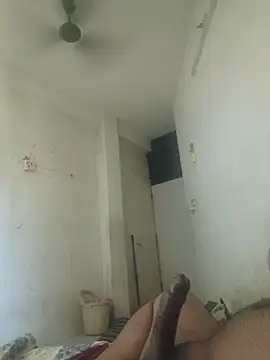 GTX-8194 online show from 03-27-26, 08:20