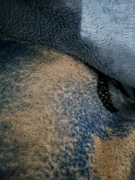 Snapshot of dollpum chatting on 03-04-26, 09:54 dollpum online show from 03-04-26, 09:54