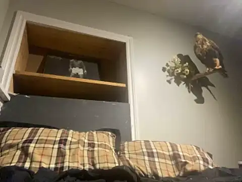 Snapshot of yourwhiteboy1 chatting on 03-01-26, 03:08 yourwhiteboy1 online show from 03-01-26, 03:08