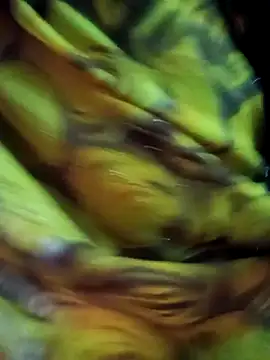 Muskan44s online show from 02-17-26, 12:23