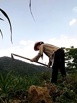 Tina-beo online show from 04-10-26, 08:19