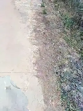 janu 9900 online show from 02-18-26, 06:09