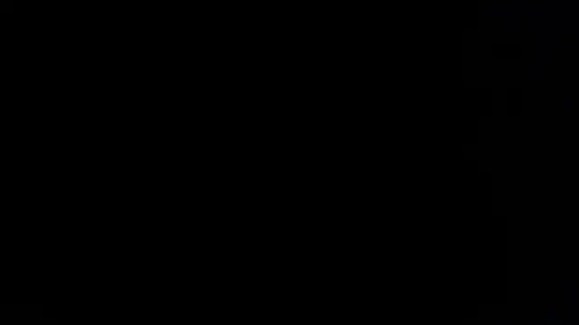 BlackFox V online show from 02-23-26, 09:01