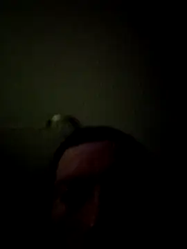 bigbooietx online show from 03-01-26, 08:05