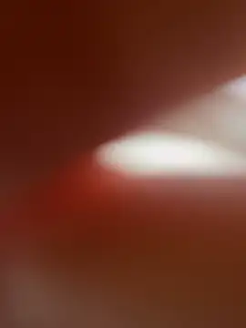 zo-19cm online show from 02-27-26, 01:33