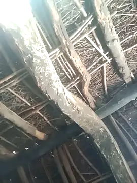 Snapshot of Manu_mehta chatting on 03-31-26, 04:57 Manu mehta online show from 03-31-26, 04:57