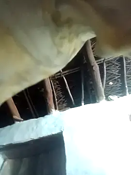 Snapshot of Manu_mehta chatting on 04-06-26, 05:25 Manu mehta online show from 04-06-26, 05:25