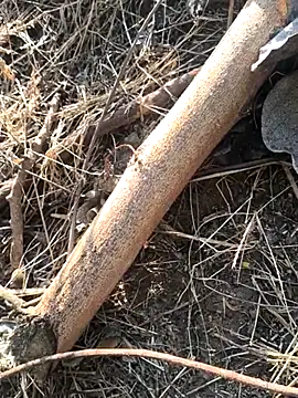 Vinita cuty online show from 02-09-26, 04:16