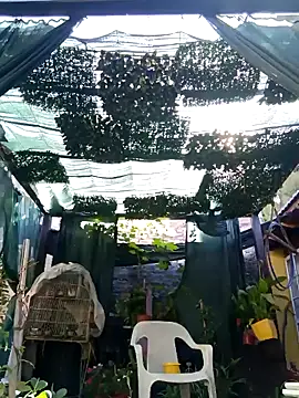 Snapshot of gordorichard chatting on 02-21-26, 12:39 gordorichard online show from 02-21-26, 12:39