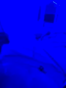 bojo69 online show from 02-13-26, 12:12