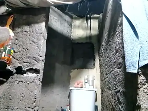 Snapshot of polla_large_active chatting on 04-11-26, 12:26 polla large active online show from 04-11-26, 12:26