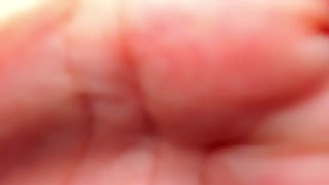 Snapshot of RinaFox__ chatting on 02-21-26, 01:17 RinaFox online show from 02-21-26, 01:17