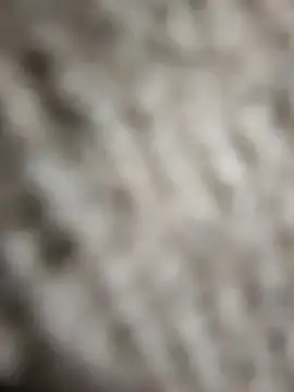 Snapshot of Flexxxo09 chatting on 02-04-26, 02:01 Flexxxo09 online show from 02-04-26, 02:01