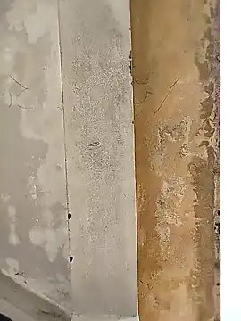 loyalboy 0052 online show from 02-08-26, 09:13