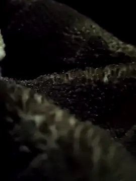 Snapshot of aryanvfit chatting on 02-09-26, 06:01 aryanvfit online show from 02-09-26, 06:01