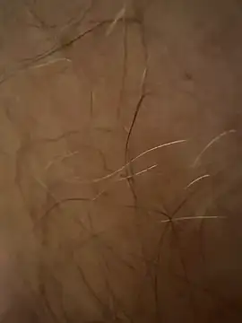 benoitxxx online show from 03-12-26, 06:47