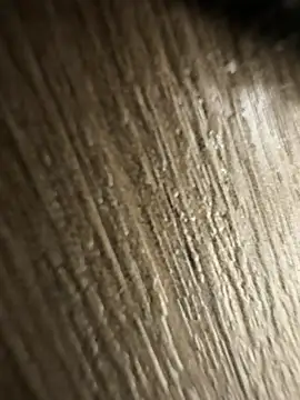 brayangz  online show from 04-08-26, 12:43